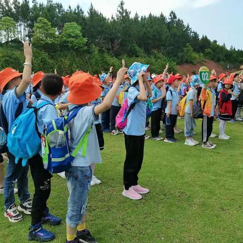 “唱支山歌给党听，采摘新茶献给党”古港完小小记者研学活动