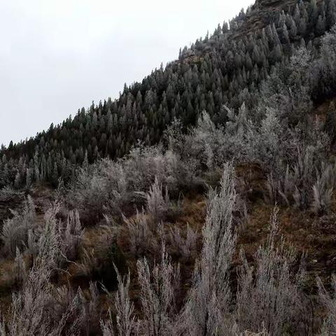 踏春雪境