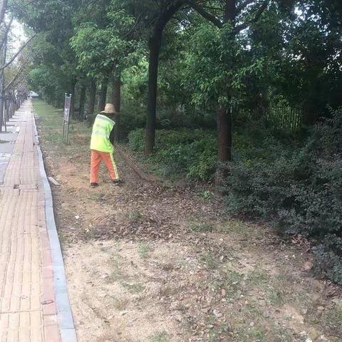 创文创卫“洗城行动”路之友环卫在行动