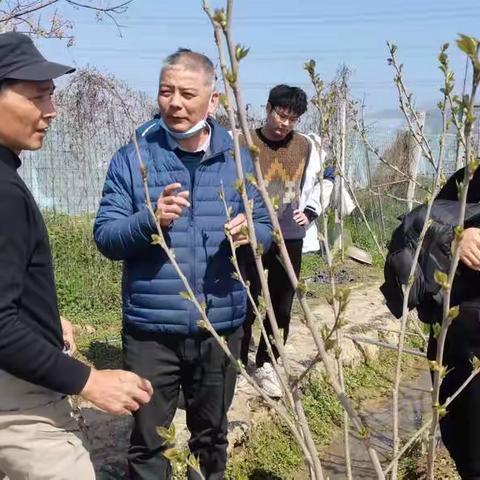 农技入田间  温暖入人心