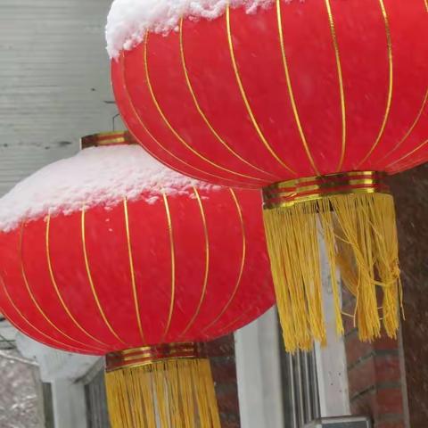 2019迟来的雪