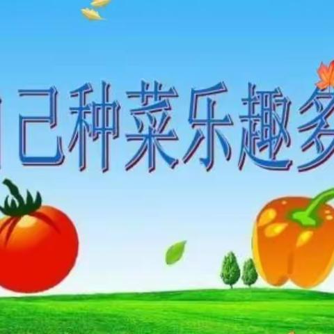 我的小菜园2021