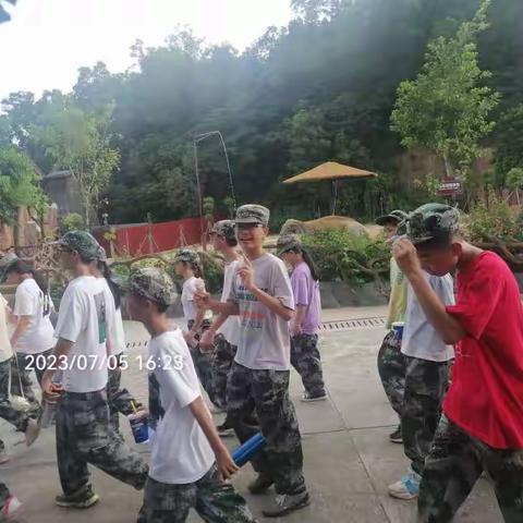 青听蝶语（专题）——军训日记