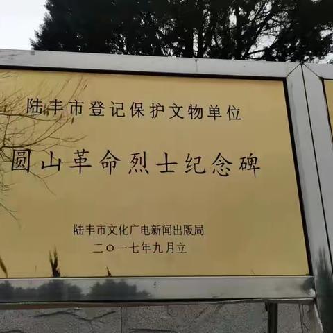 “清明祭英烈"主题教育活动        ——西南镇海桑小学