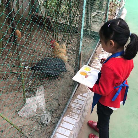 淮安市实验小学幼儿园中六班