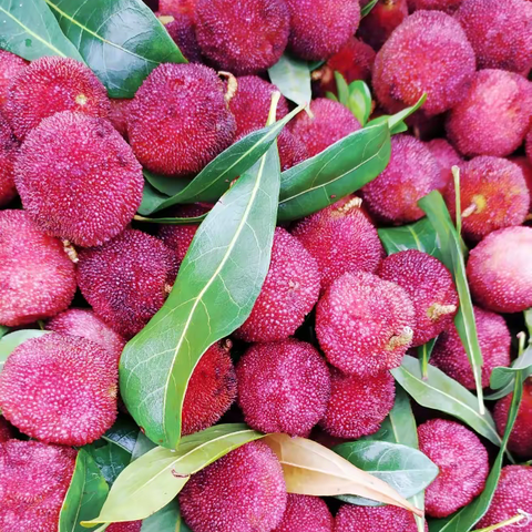 若当杨梅上市时--——我的烧酒杨梅