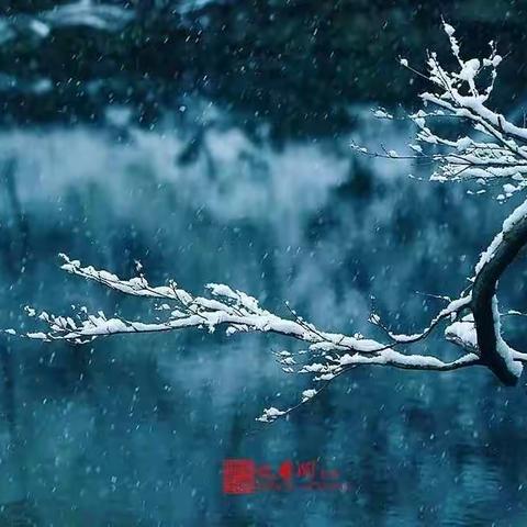 用经典润泽孩子心田                一一一281班国学经典竞赛