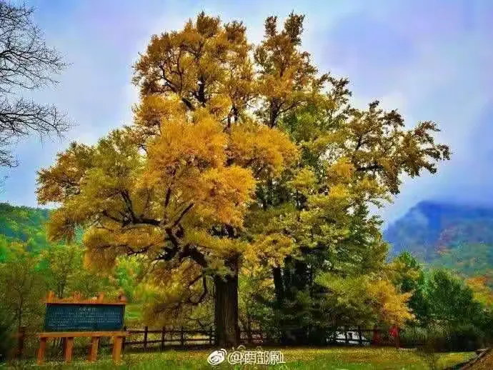 宝鸡凤县酒奠梁秋韵