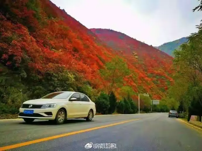 宝鸡凤县酒奠梁秋韵