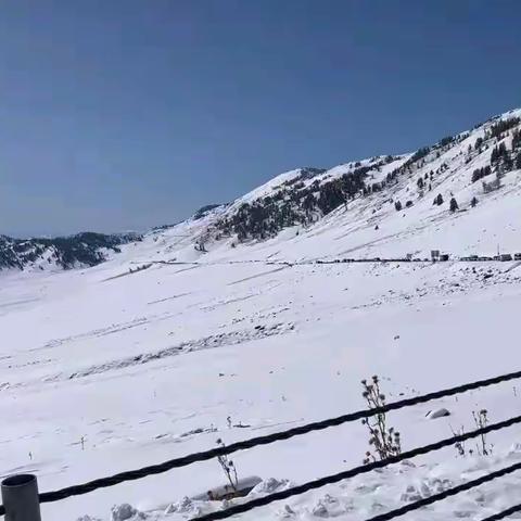 跟着大虹游新疆