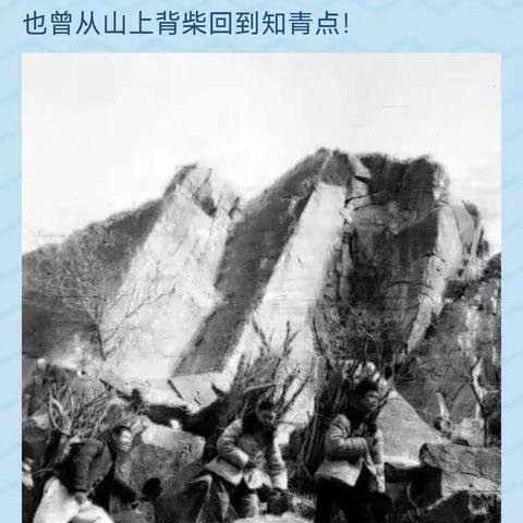 买驴记！