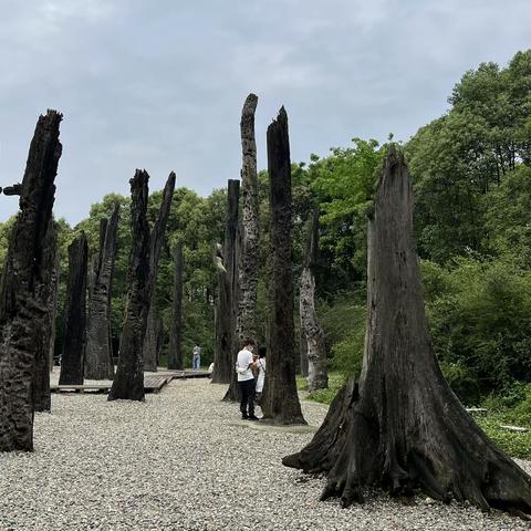 金沙遗址：藏在博物馆里的千年乌木林