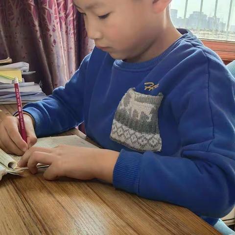 专访——少年当自强神墨口才小学员马君尧