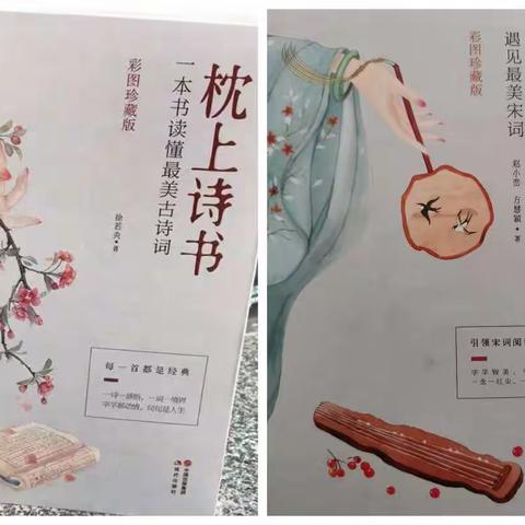 “同阅枕上诗书，共品千古佳话”读书随笔