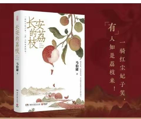 《长安的荔枝》读后感