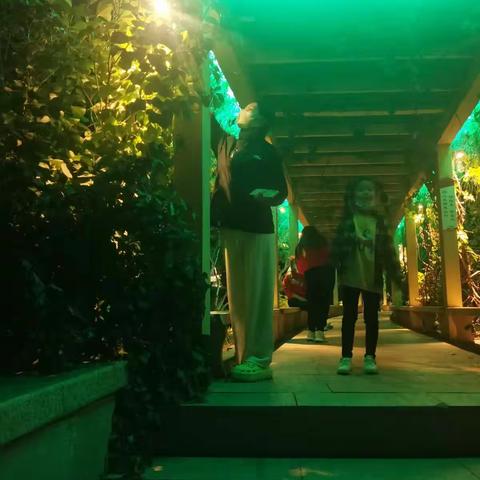 舒蕾的美篇