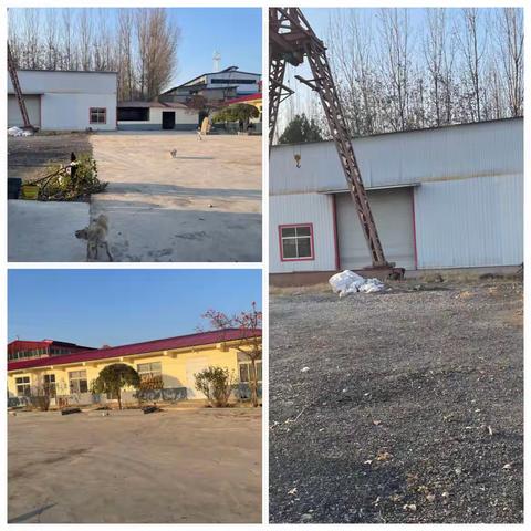 快速行动积极落实，全力应对重污染天气