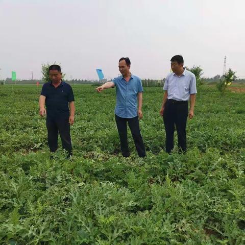 “我为群众办实事”肥乡区市场监管局开展2021 年“知识产权服务万里行”活动