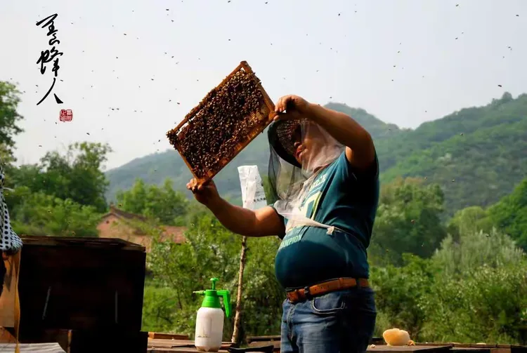 养蜂人