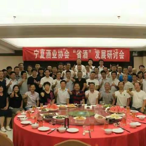 宁夏酒业协会省酒发展交流会