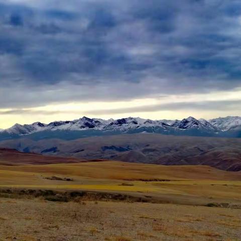 2017年深秋新疆行之十四：伊犁草原