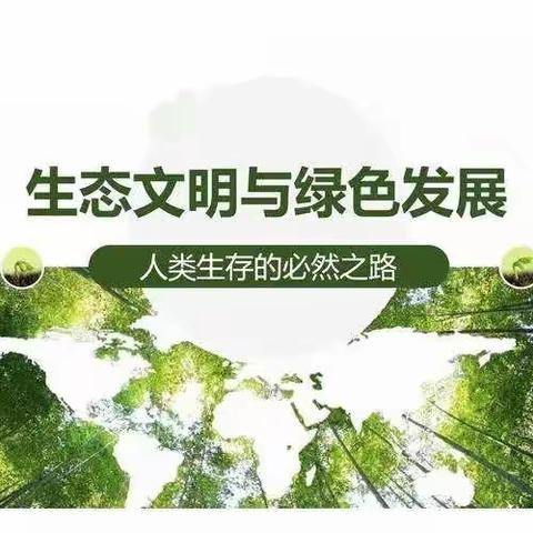 楼观镇焦镇小学——生态文明、绿色发展理念知识宣传