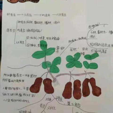 “双减”下的作业管理——楼观镇焦镇小学特色作业