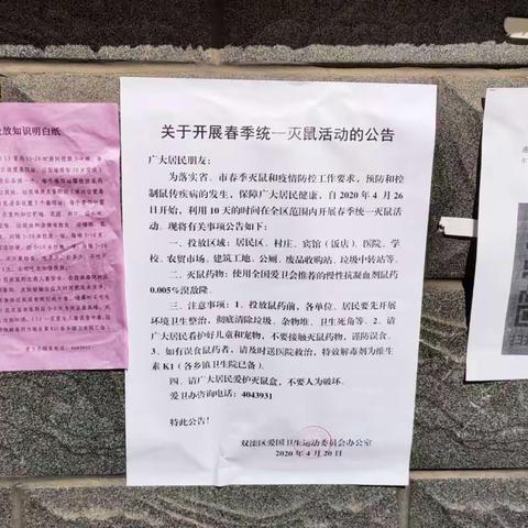 【元宝山街道】北园社区春季灭鼠 我们在行动