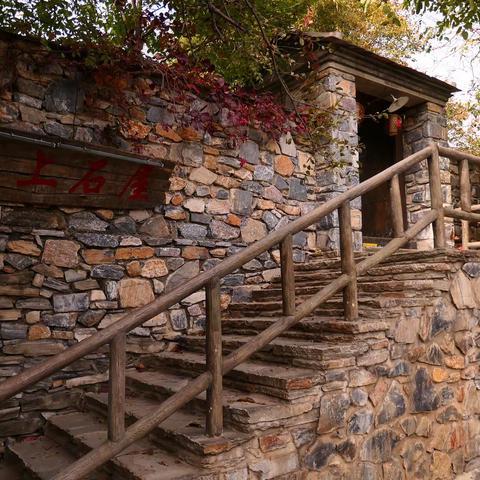 坡峰岭的秋（有滤镜，红了5分之1）