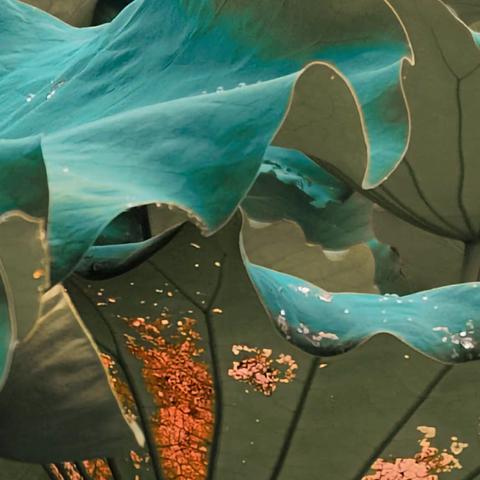 用了一下手机滤镜。