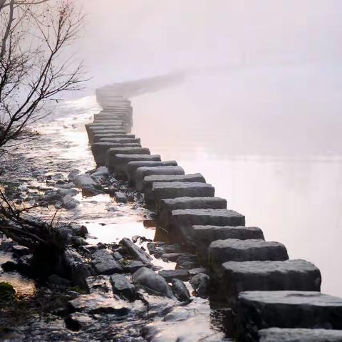 再读鲁迅文章《故乡》