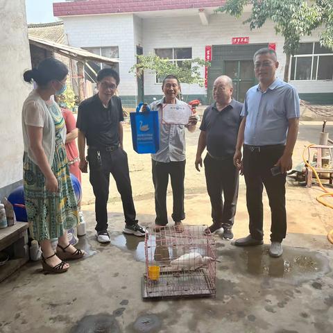 热心村民发现受伤小鸟，县林业局接力救助