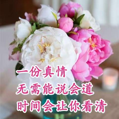 带着儿子去旅行纪念