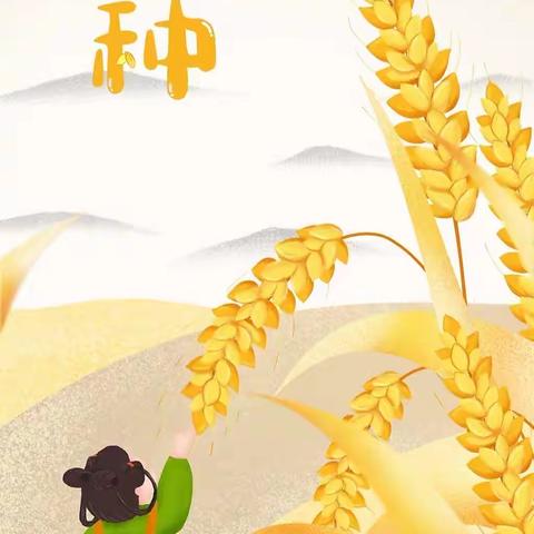 【风吹麦浪-收获快乐】“芒种”节气主题活动