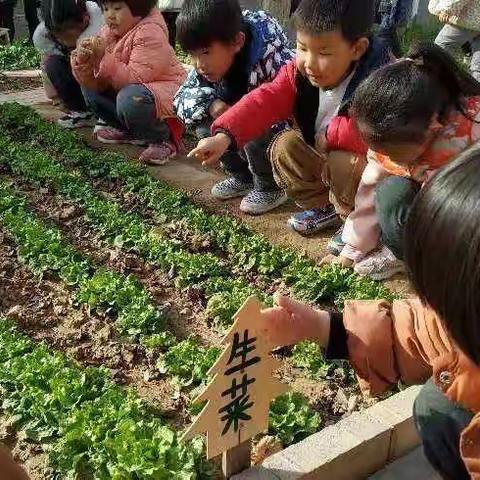 美好“食”光    与你同在   ———小一班