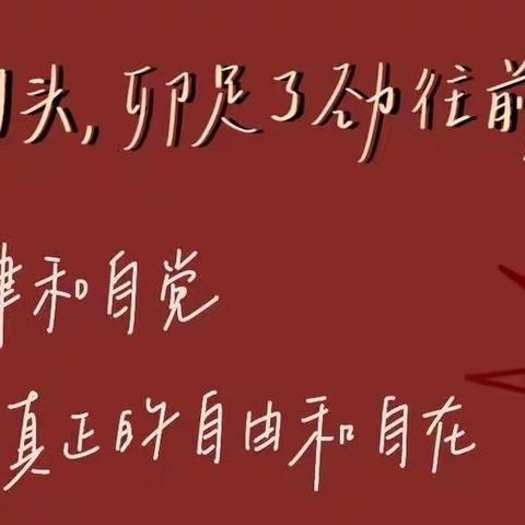 行而不辍，履践致远——实验中学初一11班线上教学第4周总结暨主题教育班会