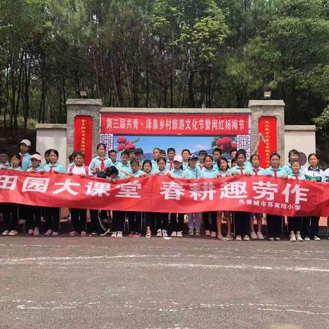 落实“双减”新举措 劳动教育正当时——共青城市苏家垱青山宝洁希望小学