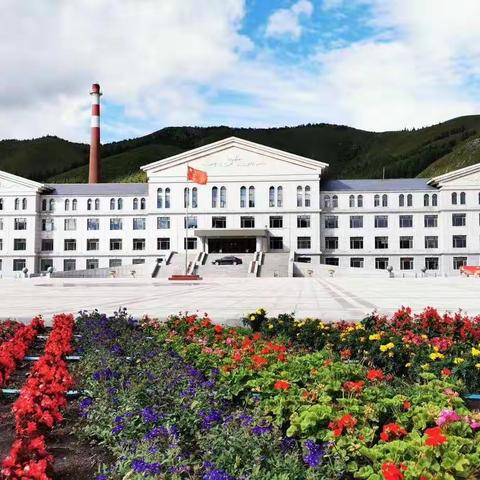 引进人才助力发展、                         林业振兴后劲十足