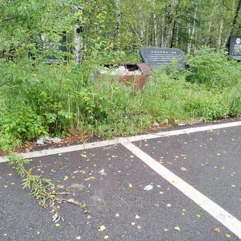 卓尔文旅集团运营好森沟国家森林公园景区现状