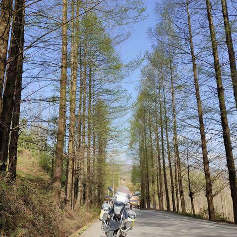 春风伴我行西南 2