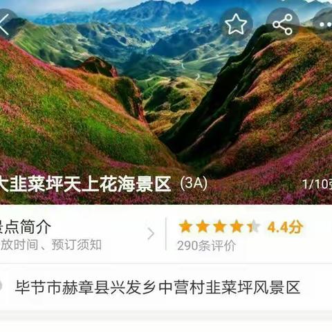 一场约好就走的浪漫