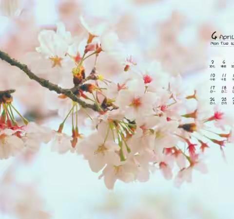 2017年安阳市“庆五一国际劳动节”老年门球赛 隆重举行