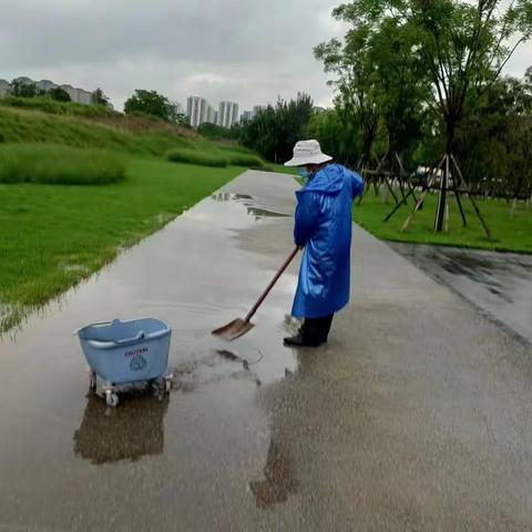 关注雨天  清理积水  借雨作业