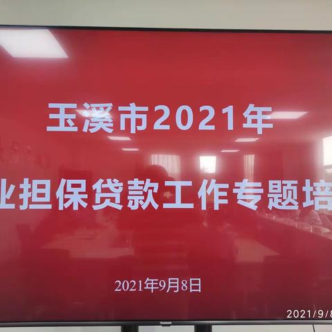 玉溪市举办创业担保贷款工作专题培训班