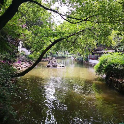 2020年上海南汇游