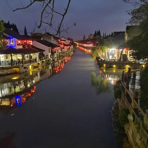 2021年5.1假期金山枫泾