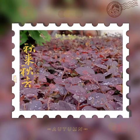 秋去冬来