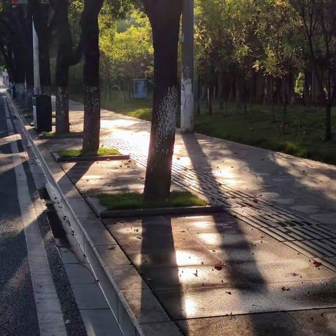 不一样生活文案（大学生）