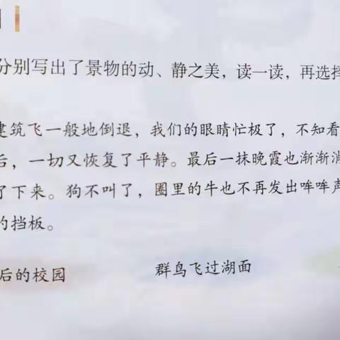 线上语文这样教之片段仿写