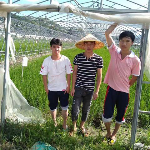 海南省农林科技学校到单位实习的实习生